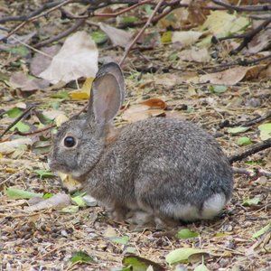 Meet your Posher, Connie